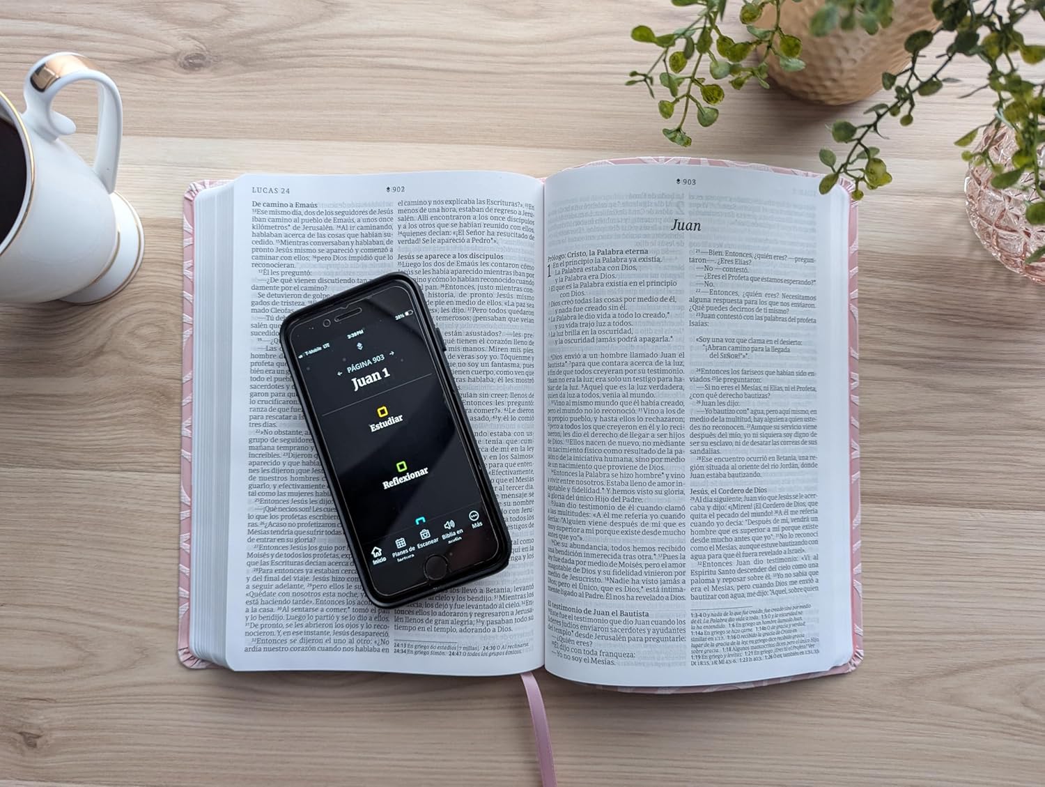 Biblia NTV Rosada Letra Grande Valor Premium Filament - Imagen 4