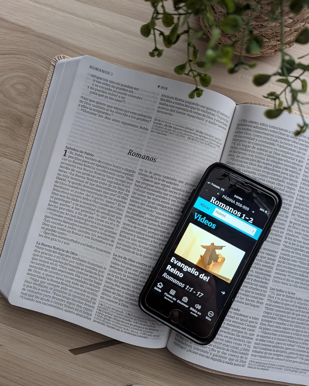 Biblia NTV Beige Letra Grande Valor Premium Filament - Imagen 5