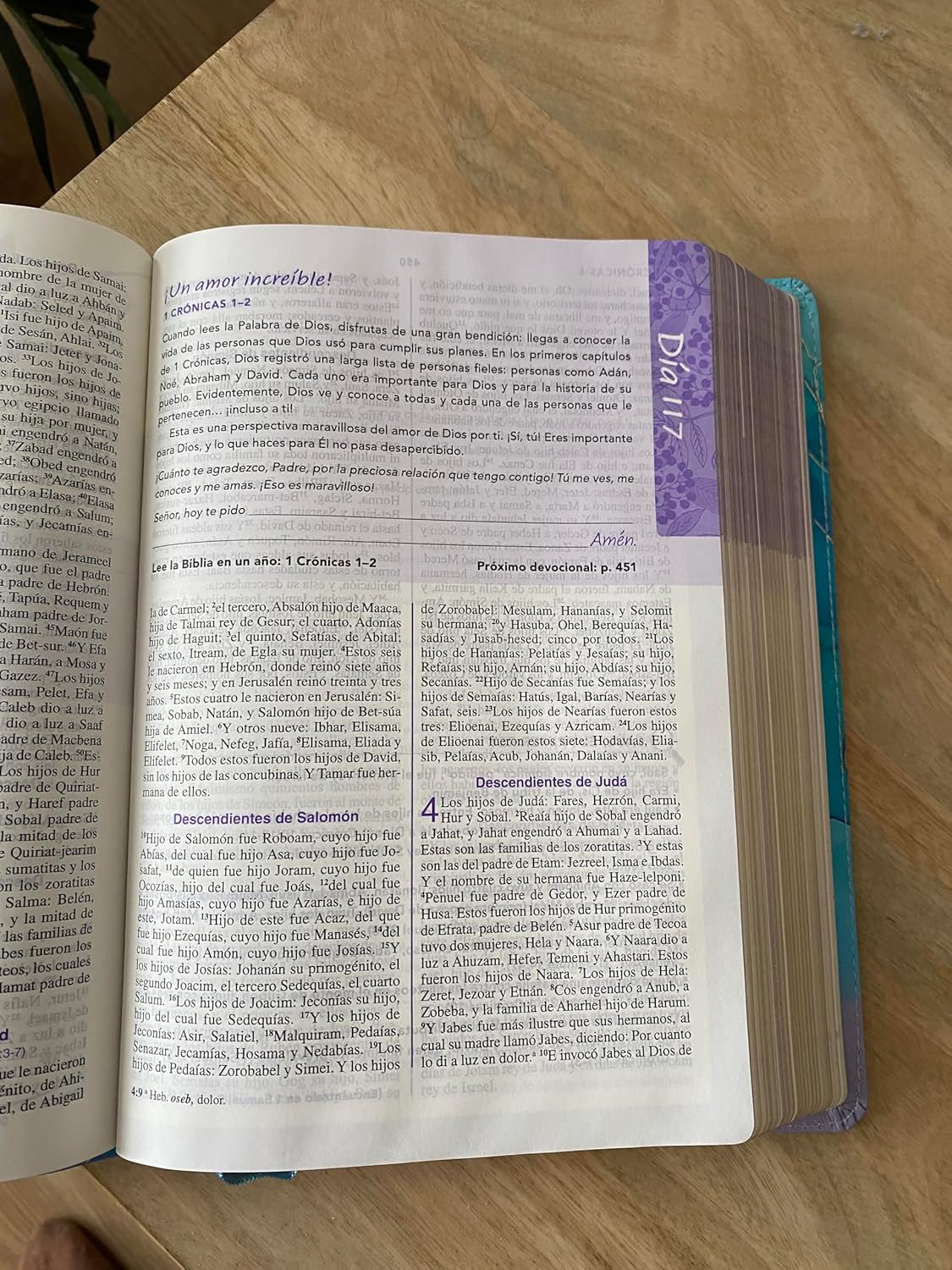 Biblia RVR60 De Una Joven Conforme Al Corazón/ Brisa Imitación Piel - Imagen 4