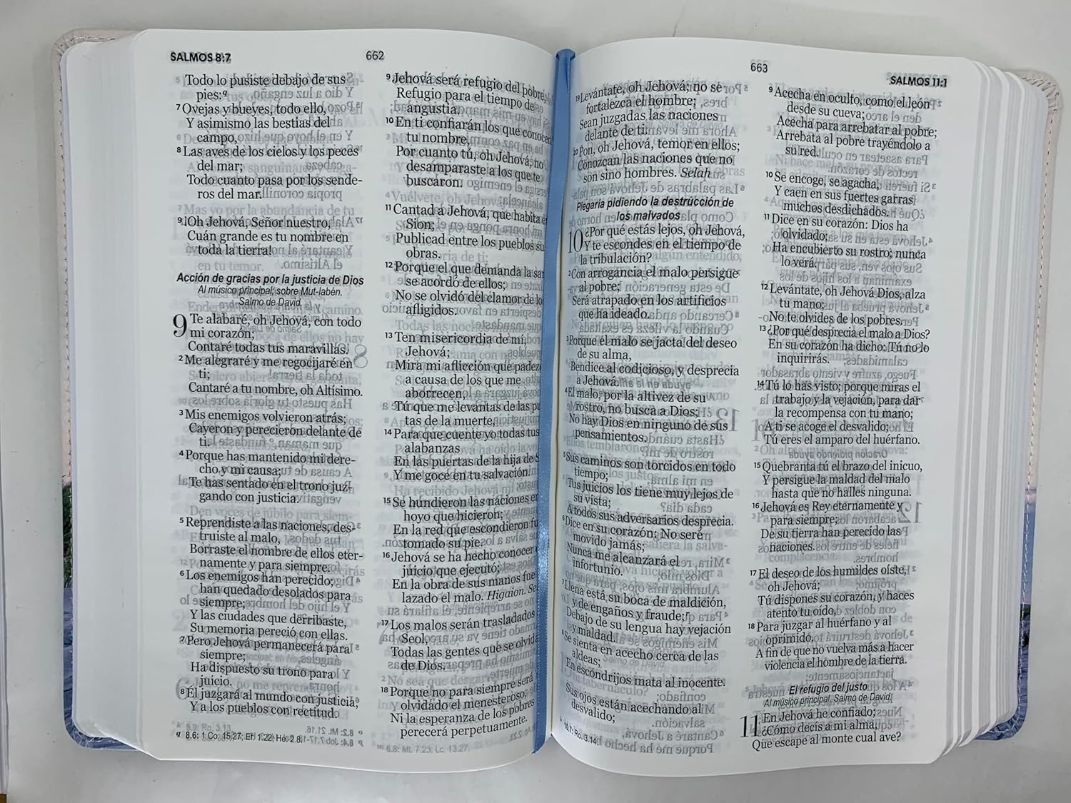 Biblia Letra Grande 12 puntos Rvr 1960 Manual Faro Imitacion Piel - Imagen 6