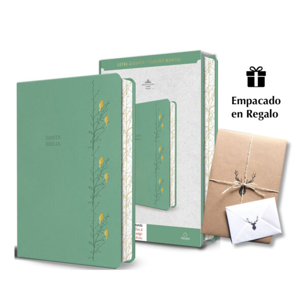 Biblia RVR60 Verde Pajaros Letra Gigante Imitacion Piel Cantos Pintado