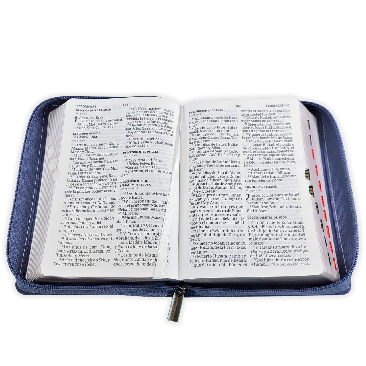 Biblia RVR60 Compacta Letra Gigante Azul Flores Cierre Indice - Imagen 2