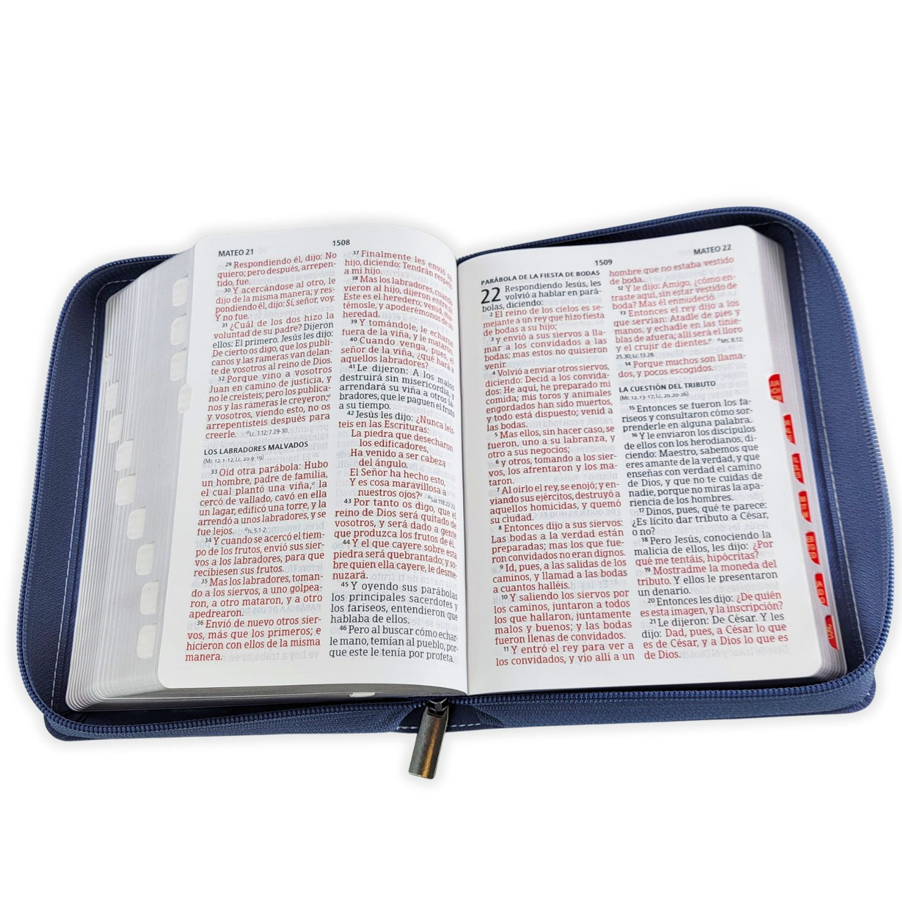 Biblia RVR60 Compacta Letra Gigante Azul Flores Cierre Indice - Imagen 3
