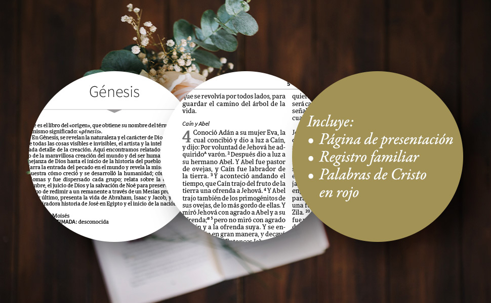 Biblia RVR60 - Recuerdo De Boda - Blanco Imitación Piel - Imagen 4