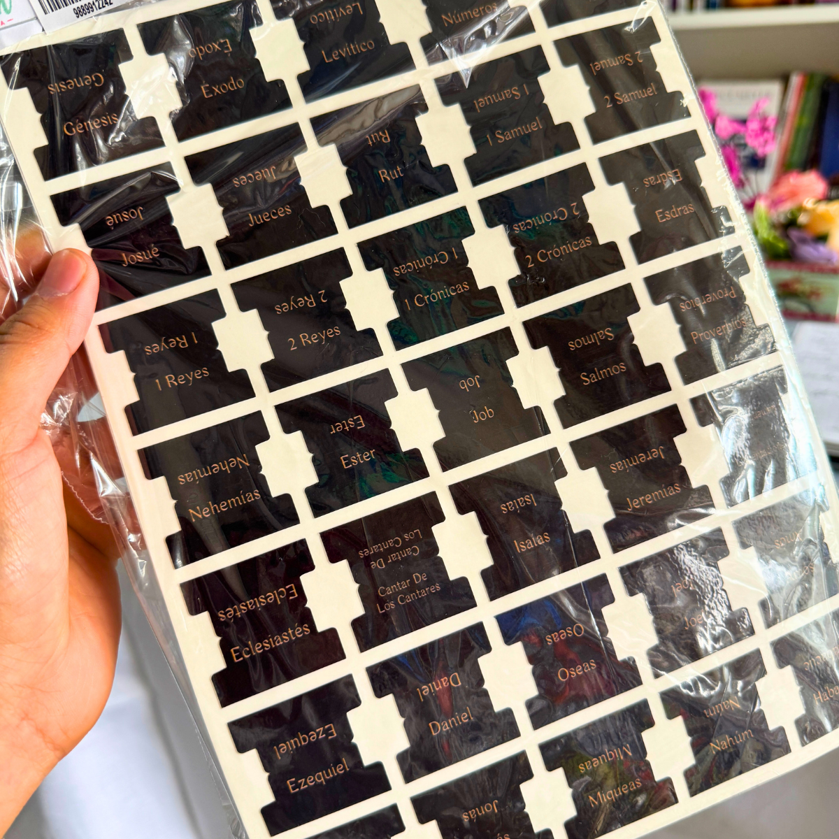 Negro – Índice para Biblia Adhesivo / Tabs para Biblias / STICKERS