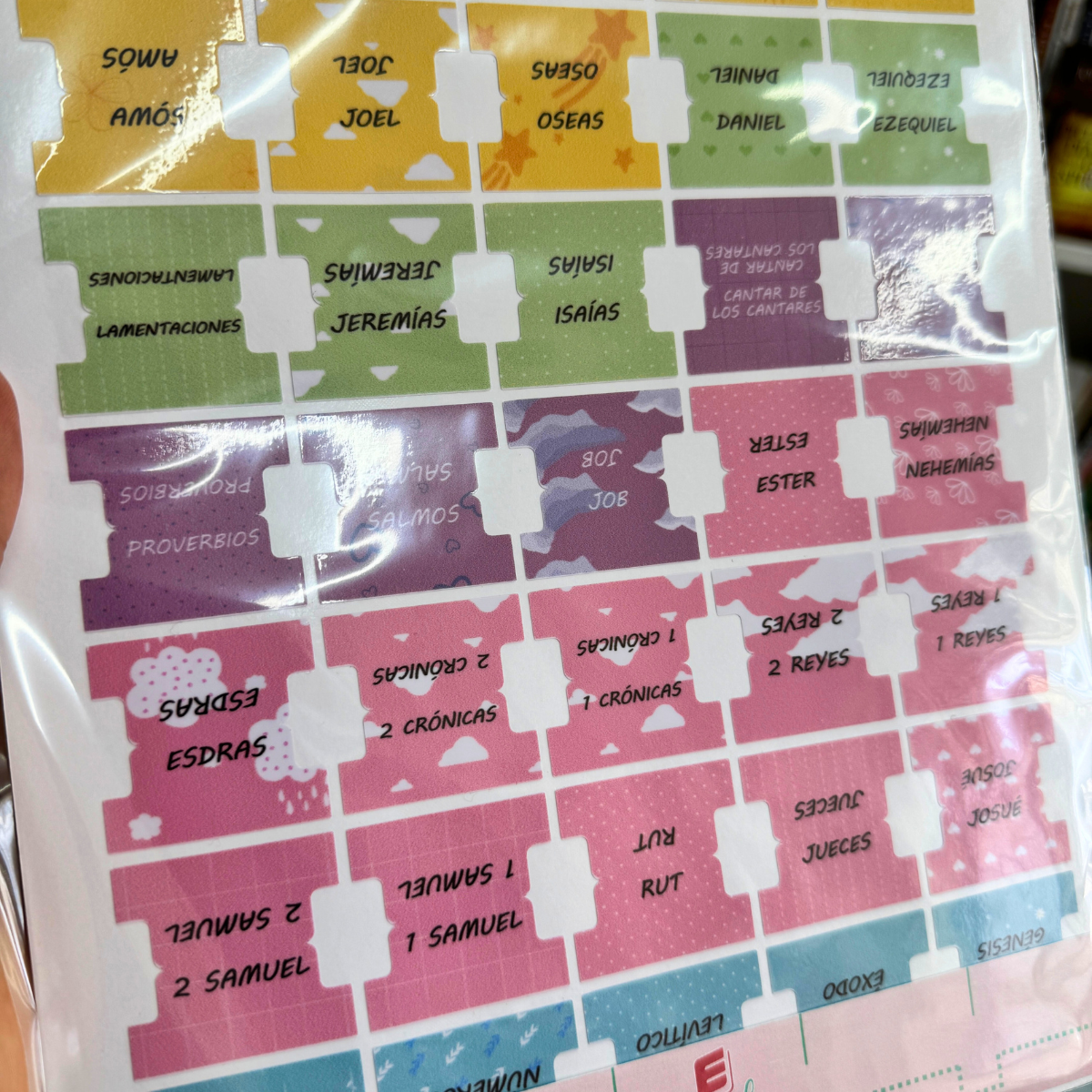 Pasteles de Colores – Indice para Biblia Adhesivo / Tabs para Biblias / STICKERS / Hefziba