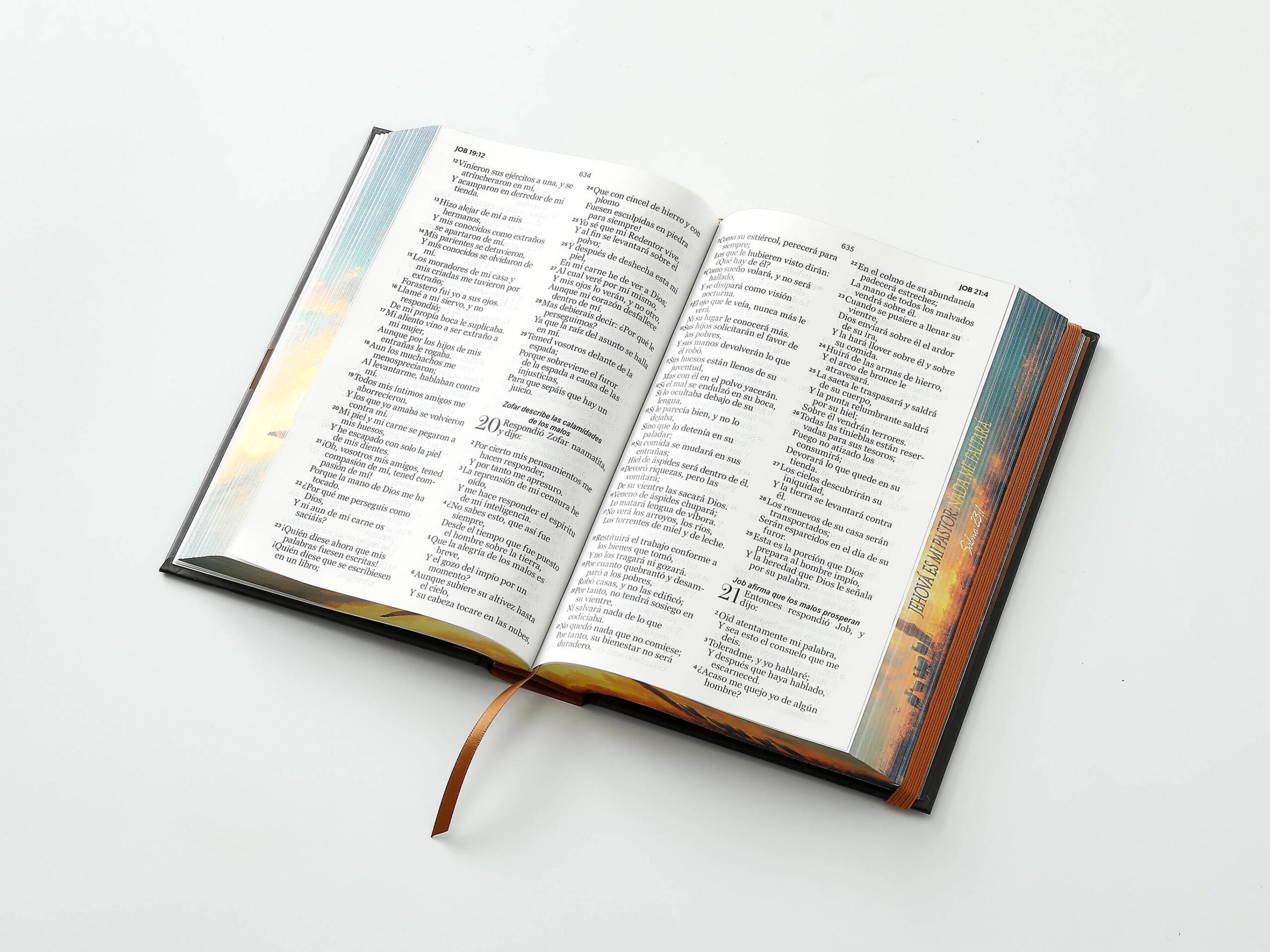 Biblia RVR60 Letra Grande 12 pts Tapa dura Pastor con elástico - Imagen 4