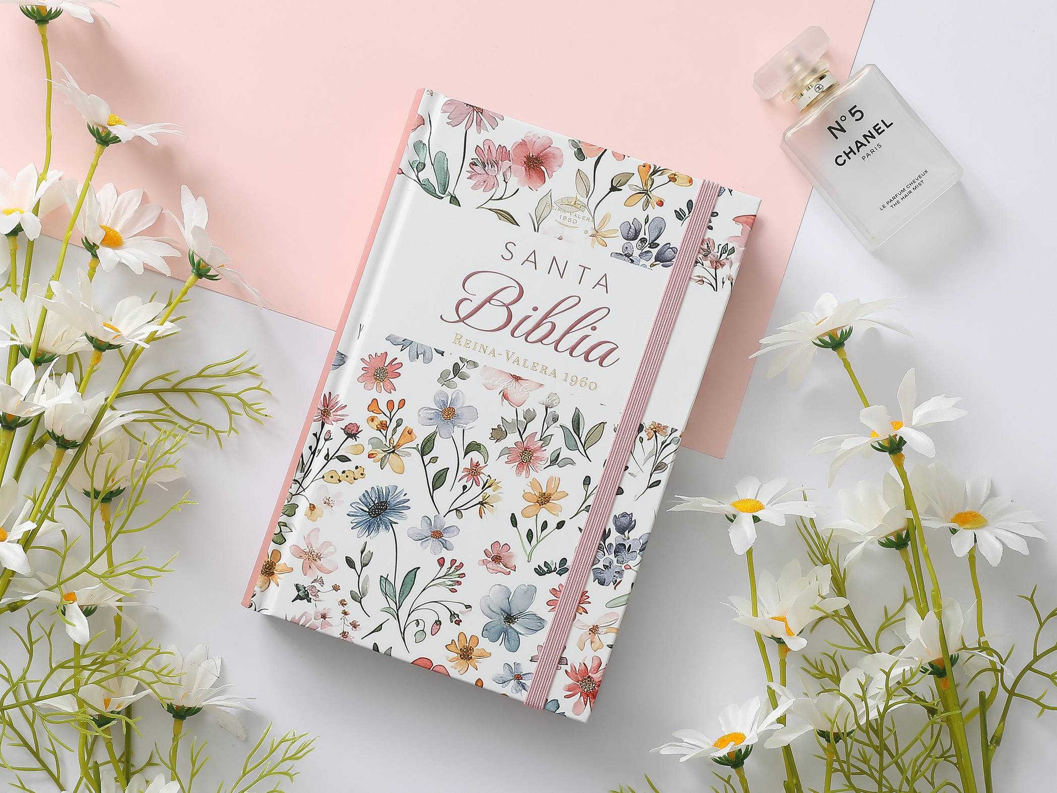 Biblia RVR60 Tamaño manual Letra Grande 12 puntos Tapa dura con elástico Primavera Blanca - Imagen 2