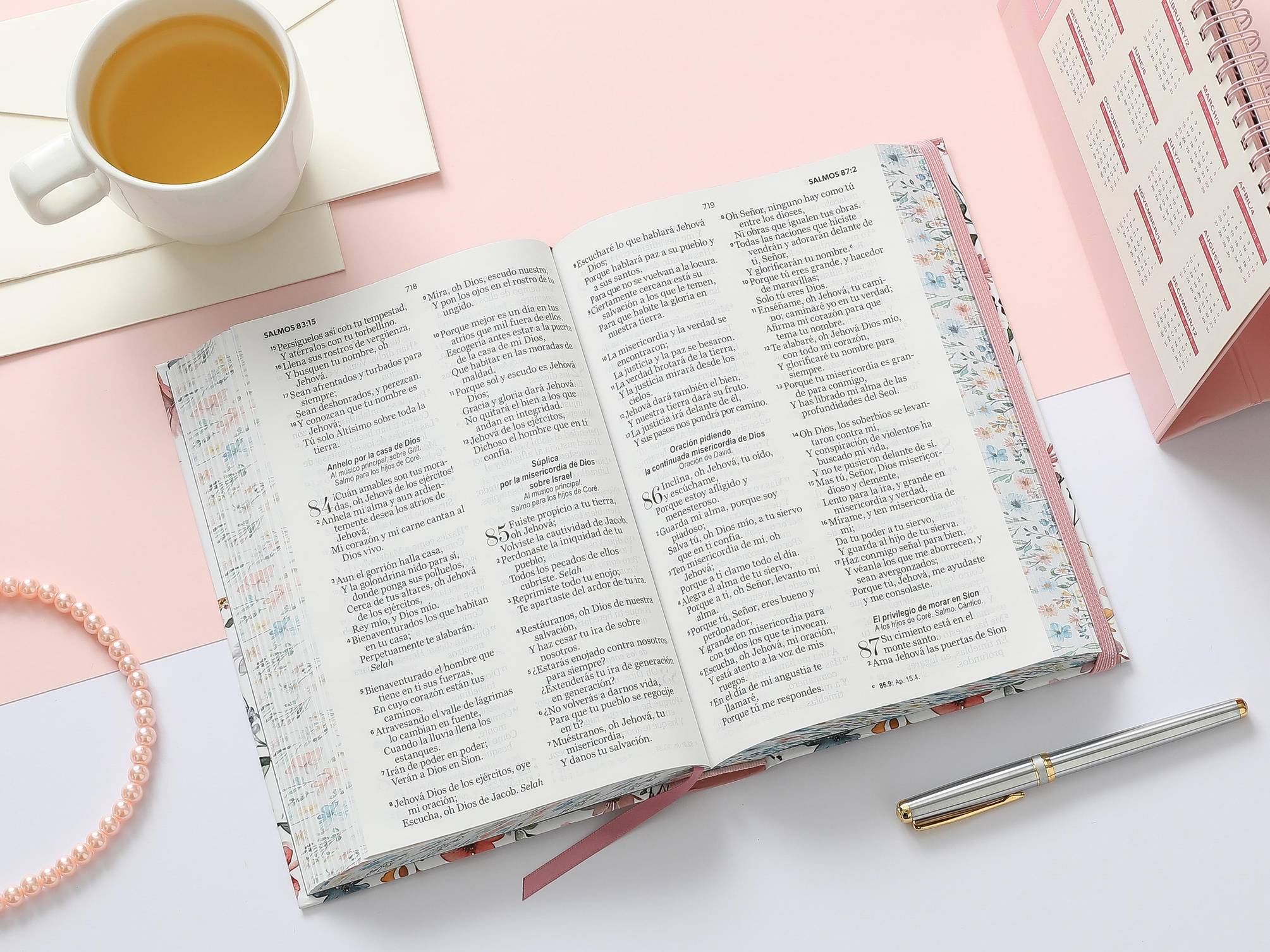 Biblia RVR60 Tamaño manual Letra Grande 12 puntos Tapa dura con elástico Primavera Blanca - Imagen 9