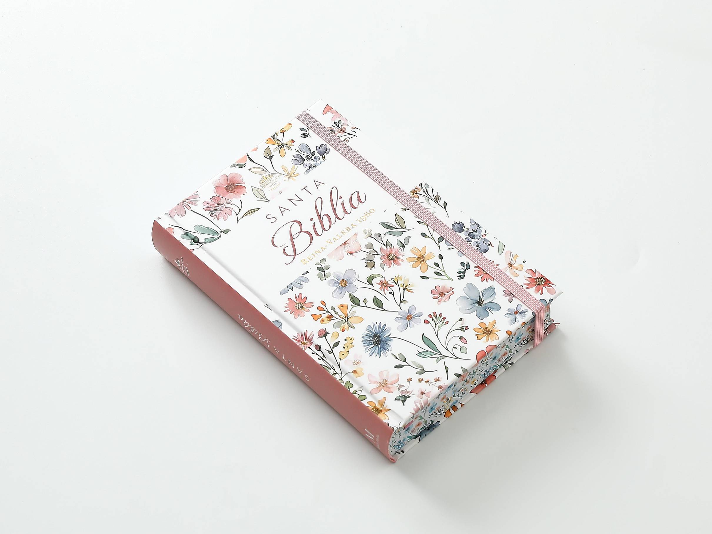 Biblia RVR60 Tamaño manual Letra Grande 12 puntos Tapa dura con elástico Primavera Blanca - Imagen 7