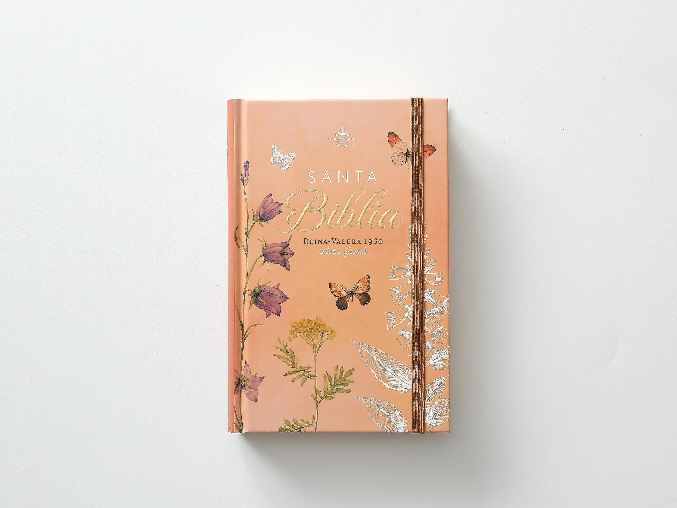 Biblia RVR Letra Grande 12 pts Tapa dura con elástico Primavera - Imagen 5