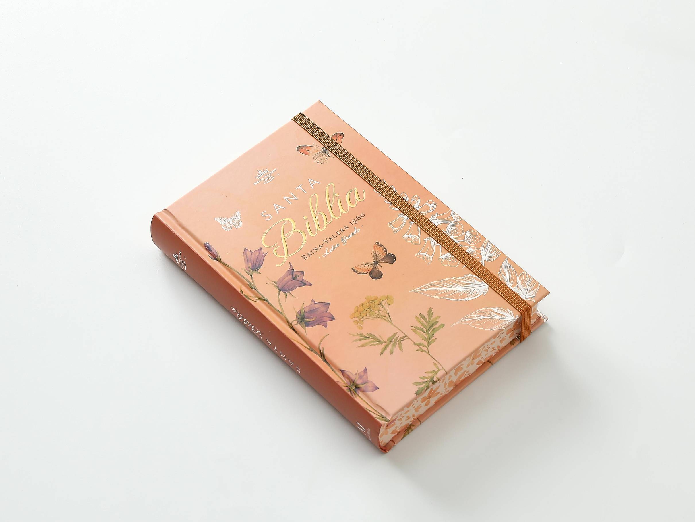 Biblia RVR Letra Grande 12 pts Tapa dura con elástico Primavera - Imagen 6