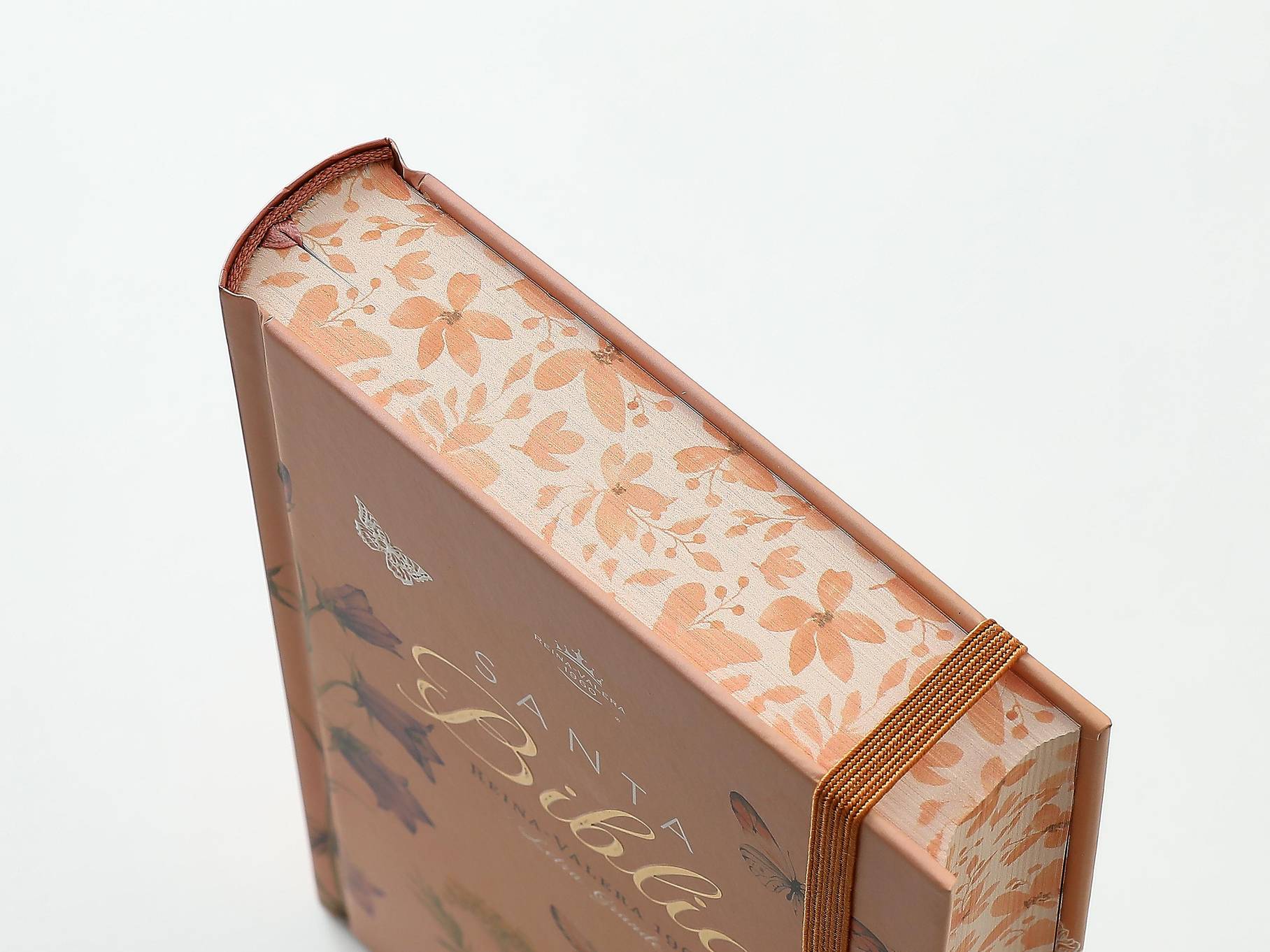 Biblia RVR Letra Grande 12 pts Tapa dura con elástico Primavera - Imagen 9