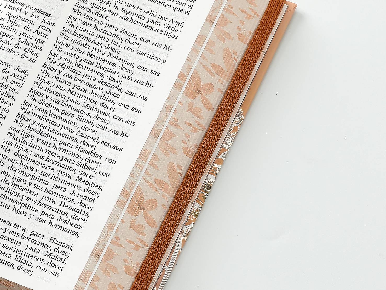 Biblia RVR Letra Grande 12 pts Tapa dura con elástico Primavera - Imagen 10