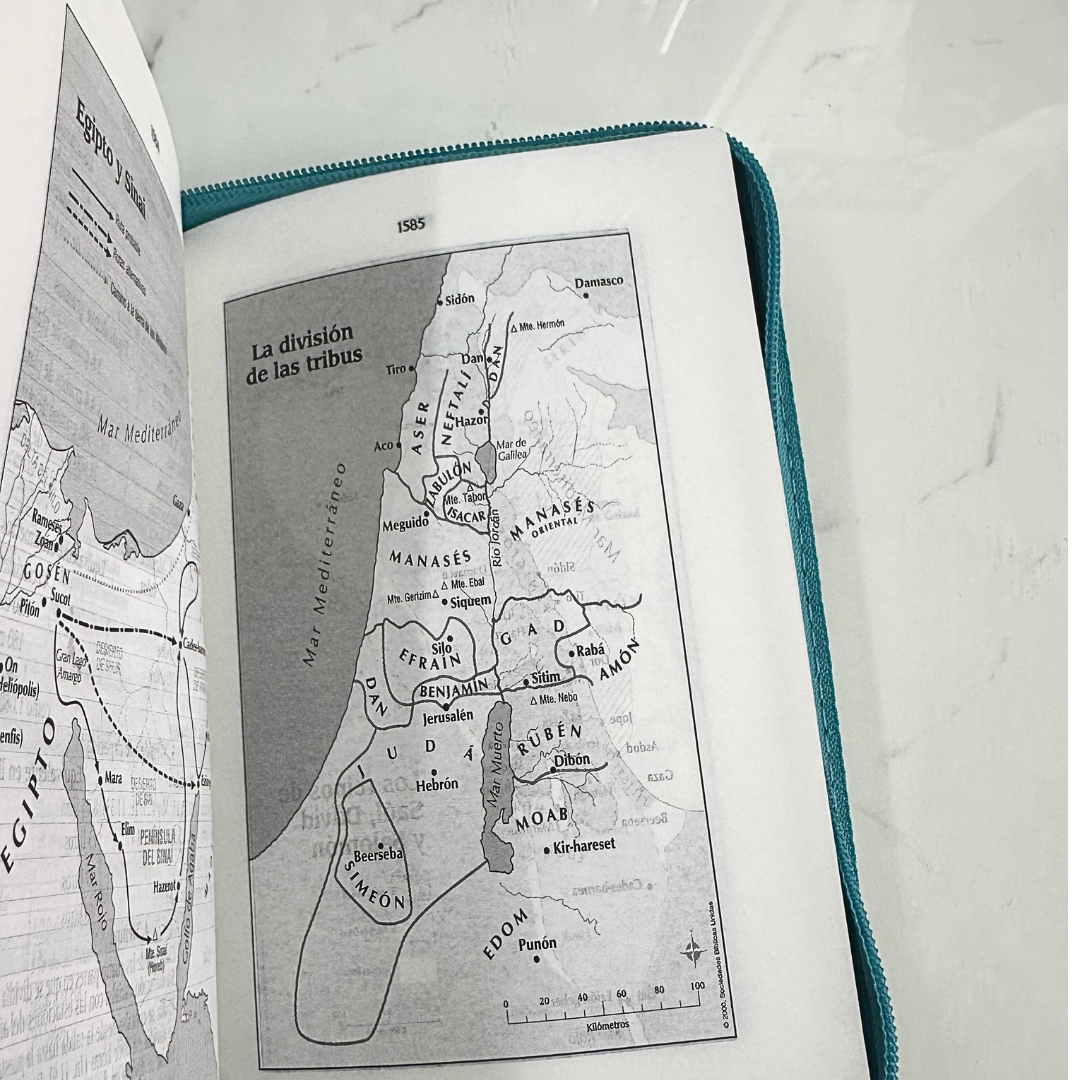 Biblia Traducción en Lenguaje Actual (TLA) Mediana Azul cierre - Imagen 10