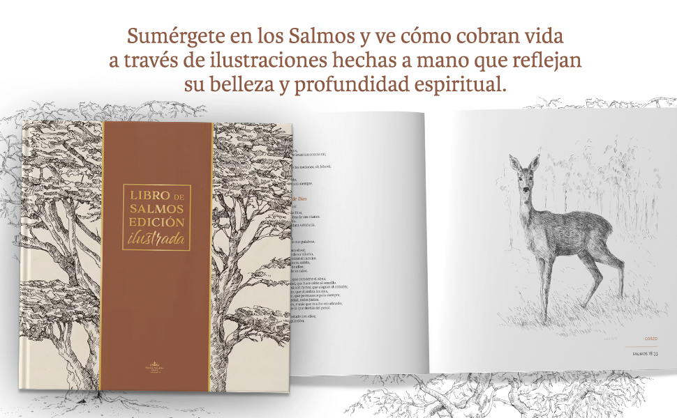 Libro de Salmos Edición Ilustrada - RVR 1960 - Imagen 2