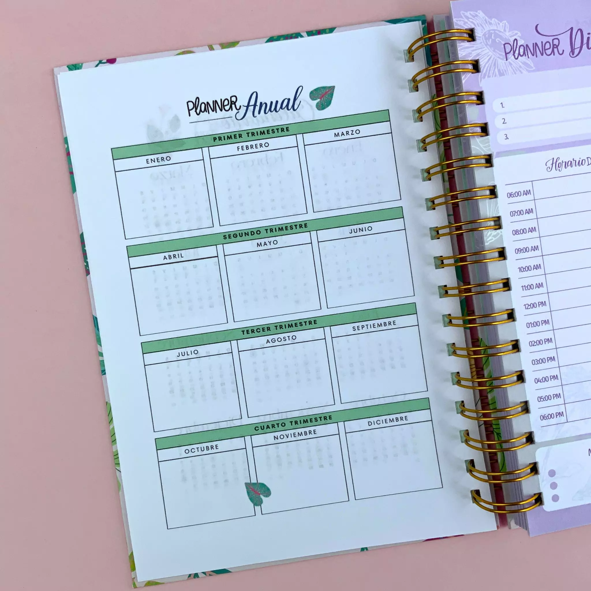 Aquí inician esos sueños - (150 hojas) - 🌸 Planner Diario – Almatinta - Imagen 4