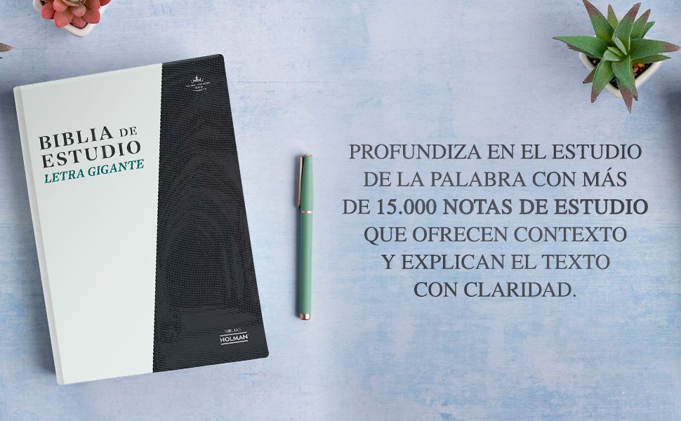 Biblia RVR 1960 de Estudio Letra Gigante tapa dura - Imagen 4