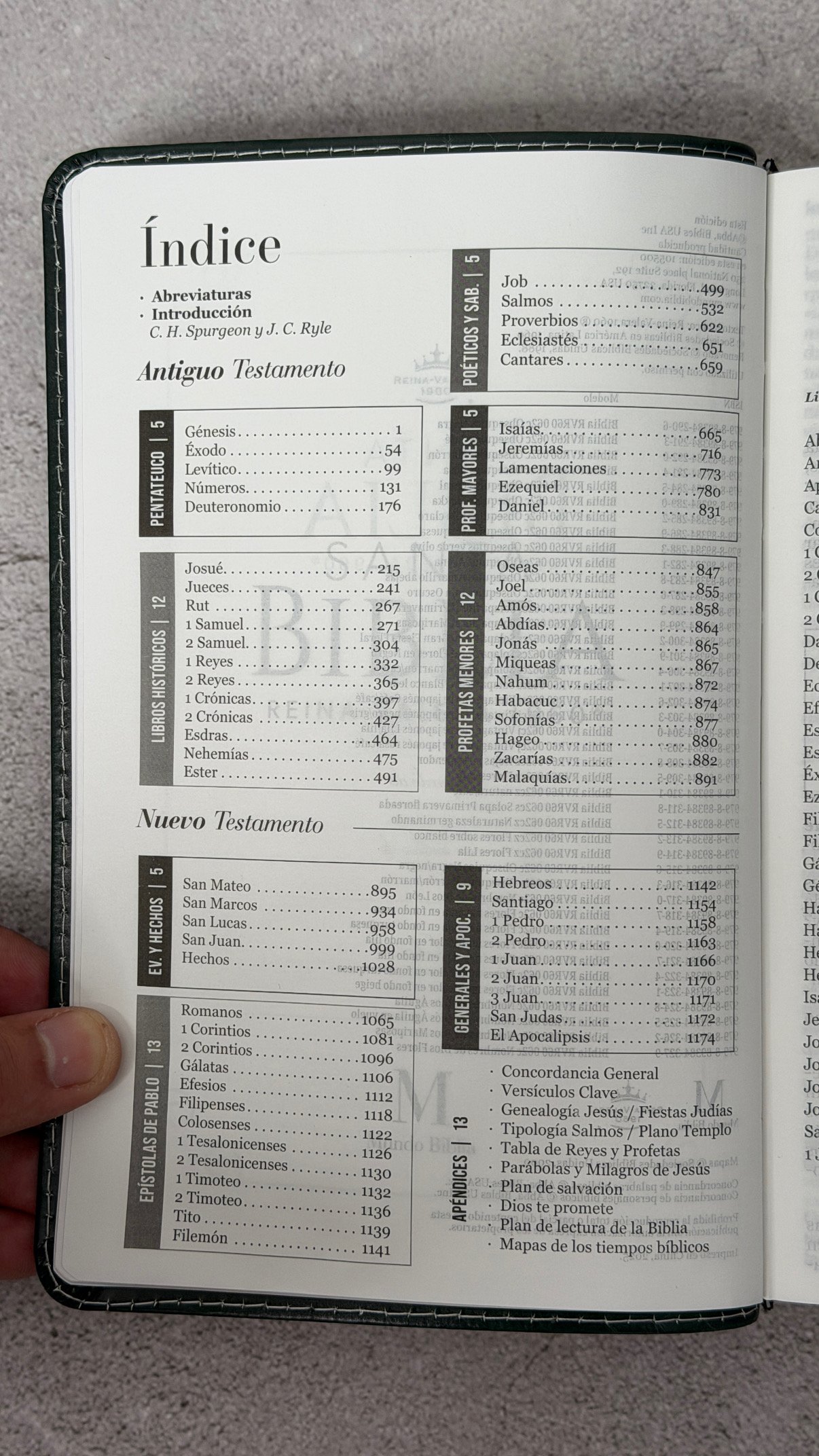 Biblia RVR60c Exquisita Flores Negro Manija Iman Letra Grande 12 puntos - Imagen 7