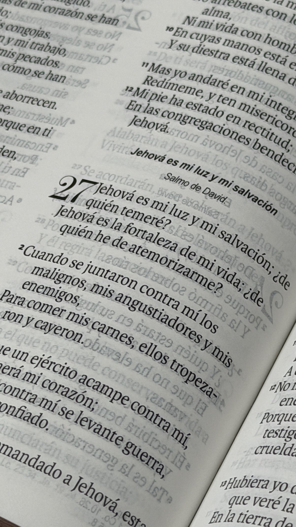 Biblia RVR60c Exquisita Flores Negro Manija Iman Letra Grande 12 puntos - Imagen 8