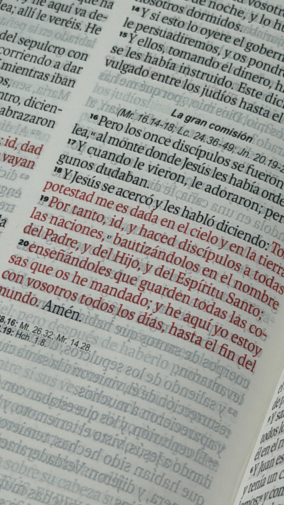 Biblia RVR60c Exquisita Flores Negro Manija Iman Letra Grande 12 puntos - Imagen 9