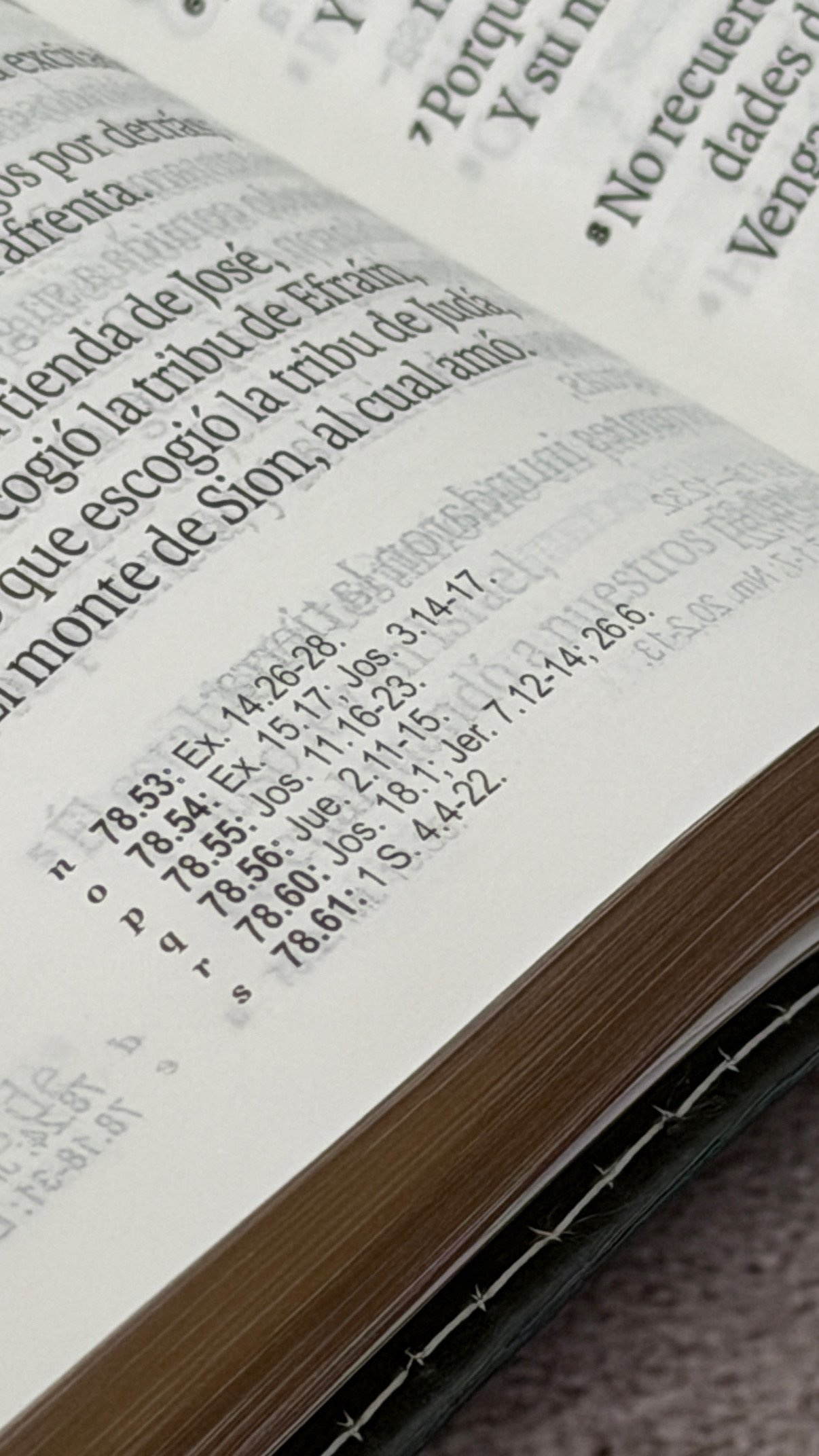 Biblia RVR60c Exquisita Flores Negro Manija Iman Letra Grande 12 puntos - Imagen 10