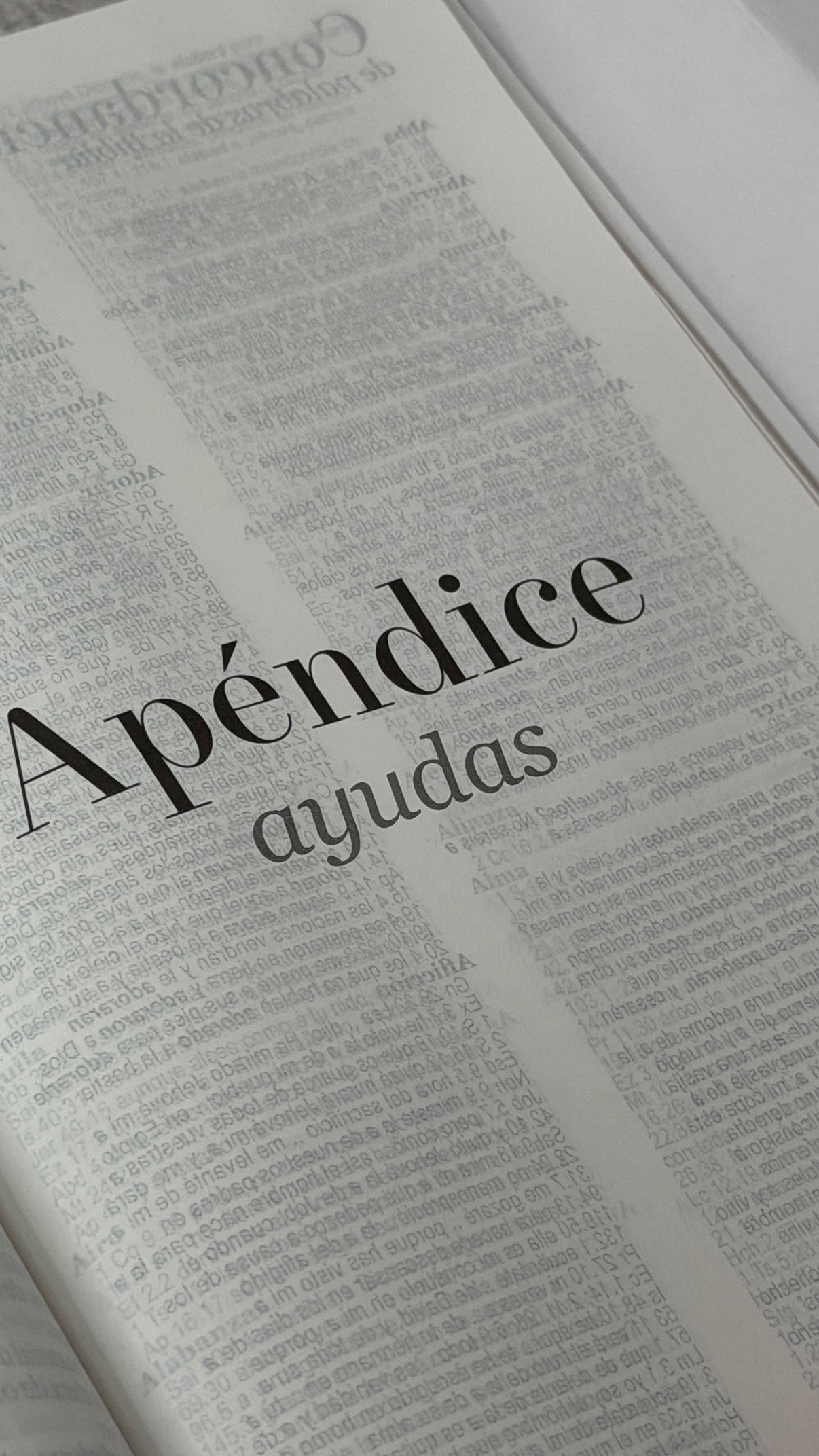Biblia RVR60c Exquisita Flores Negro Manija Iman Letra Grande 12 puntos - Imagen 11
