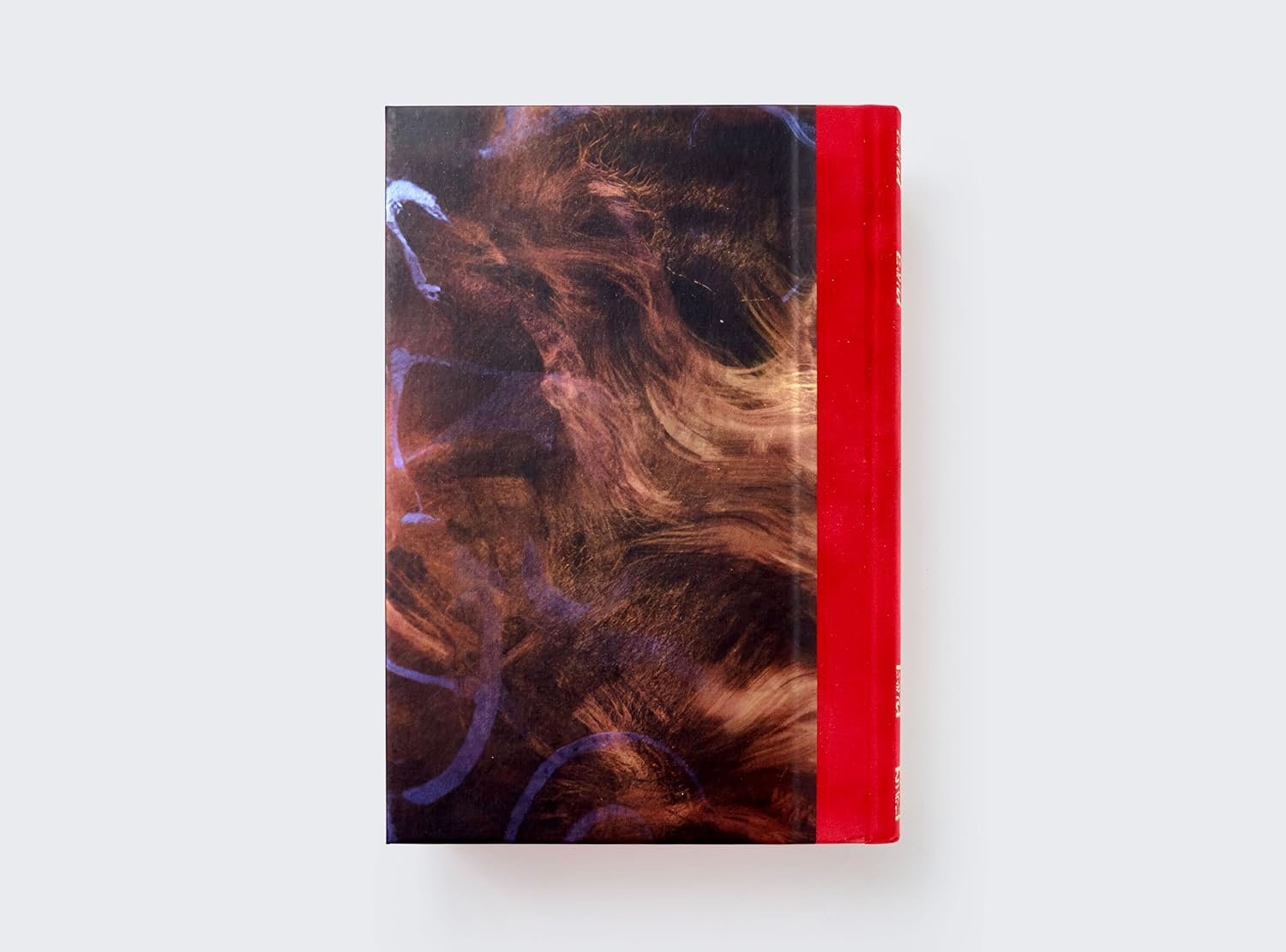 Las Crónicas de Narnia Edición de lujo Tapa Dura con estuche: 7 libros en 1 - Imagen 9
