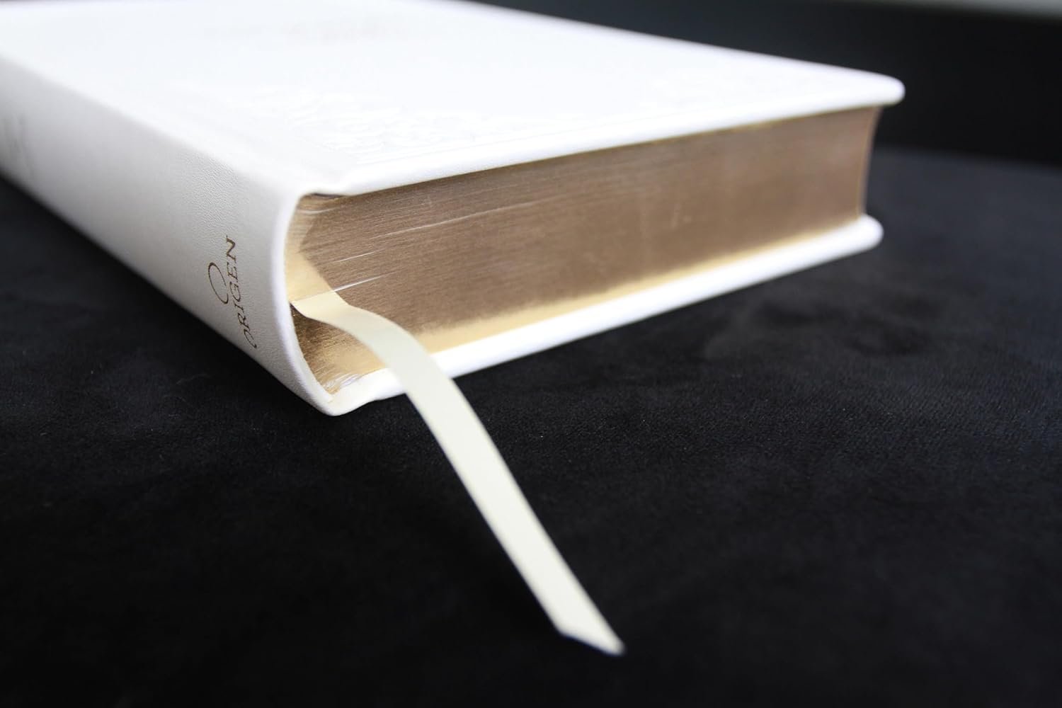 Biblia Católica: Letra grande. Símil piel blanca: boda, quinceañera, primera comu nión - Imagen 4