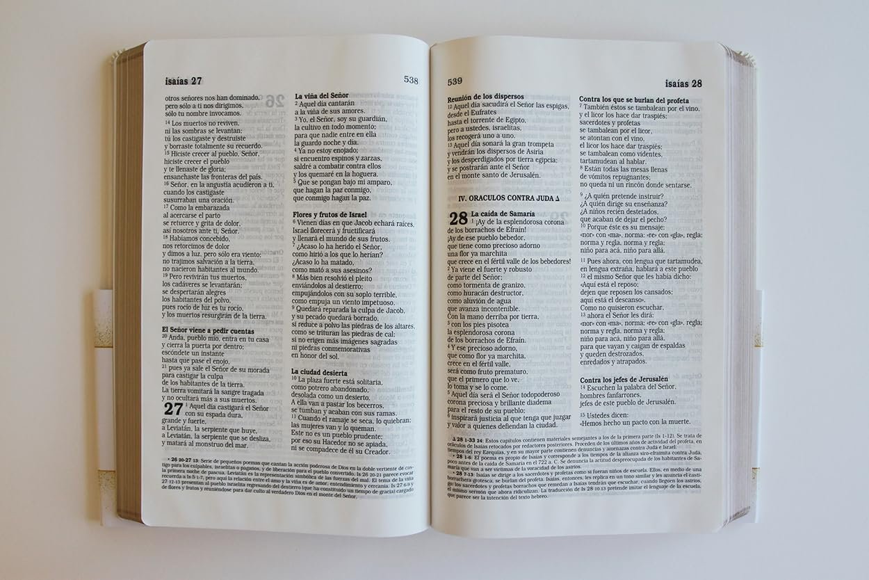 Biblia Católica: Letra grande. Símil piel blanca: boda, quinceañera, primera comu nión - Imagen 7