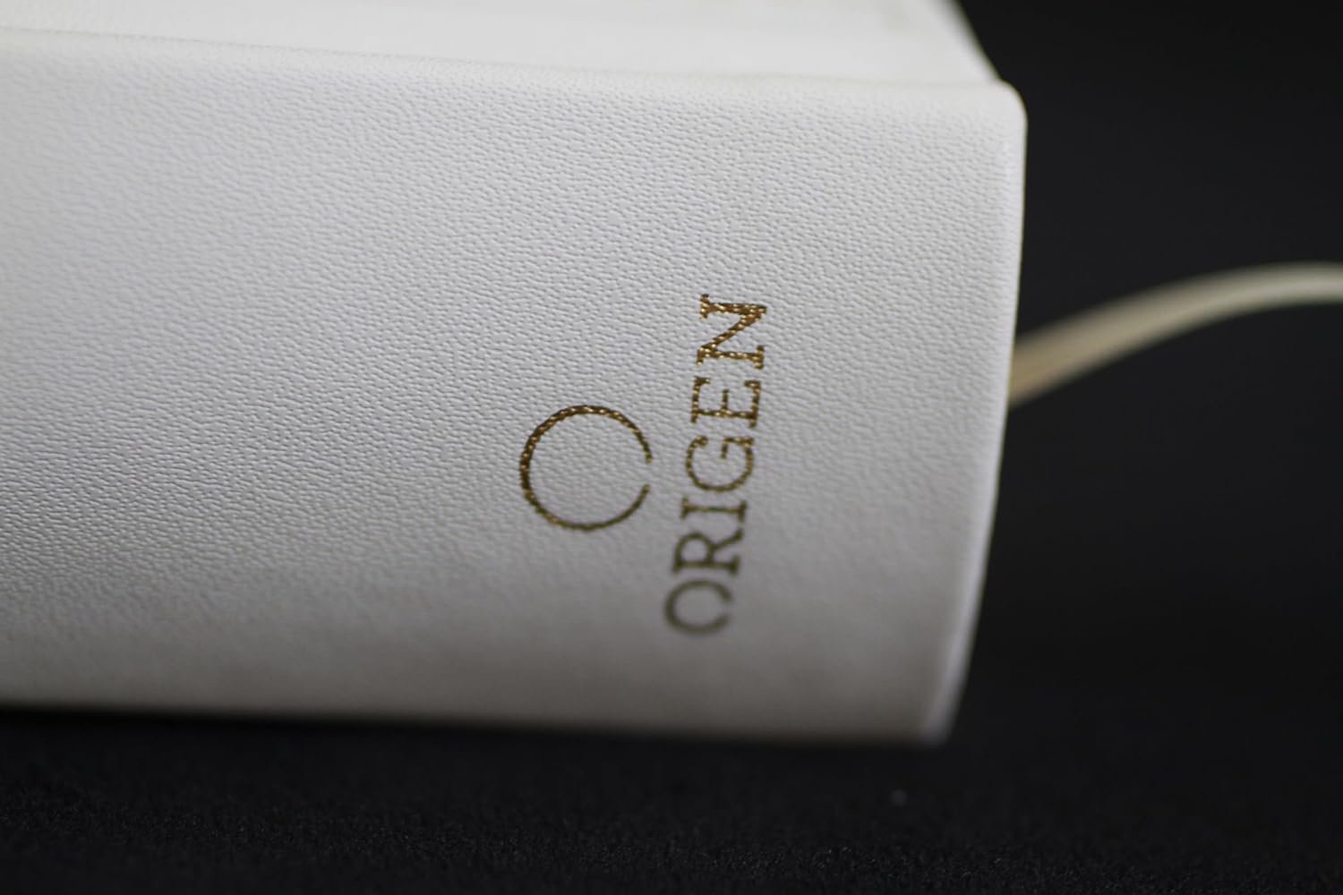 Biblia Católica: Letra grande. Símil piel blanca: boda, quinceañera, primera comu nión - Imagen 5