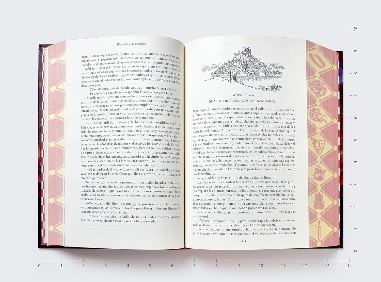 Las Crónicas de Narnia Edición de lujo Tapa Dura con estuche: 7 libros en 1 - Imagen 5