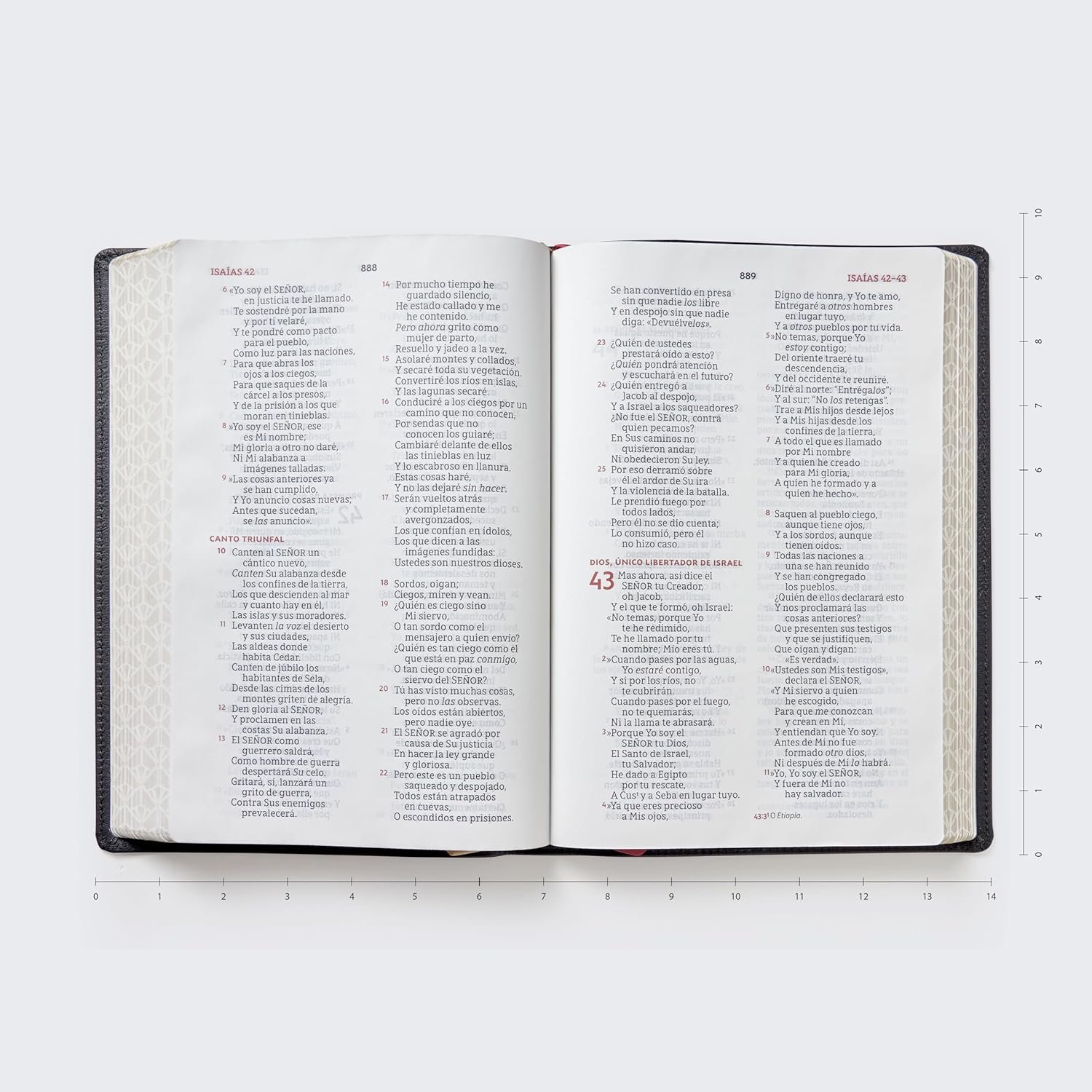 Biblia para la lectura pública NBLA Versificada Letra gigante Piel de cabra Negro: Para quienes se deleitan en compartir Su Palabra - Imagen 6