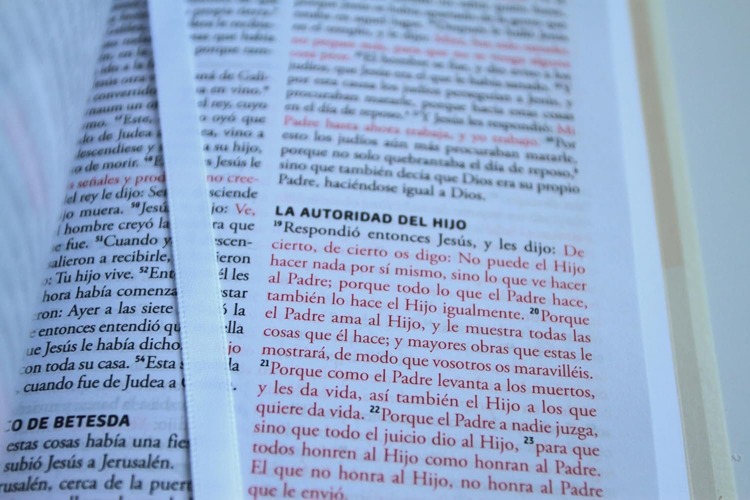 Biblia RVR 1960 para regalos y premios blanca - Imagen 6