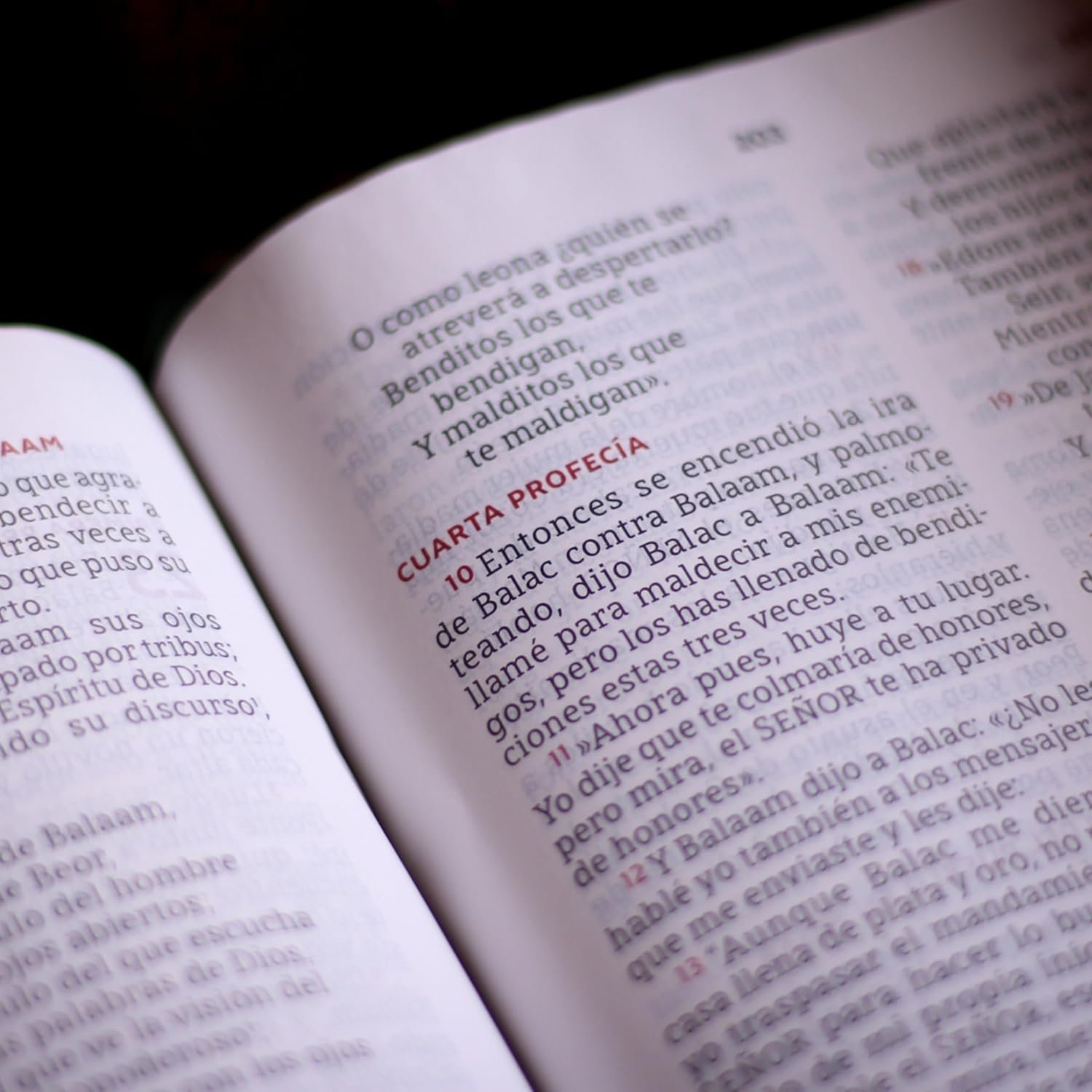 Biblia para la lectura pública NBLA Versificada Letra gigante Piel de cabra Negro: Para quienes se deleitan en compartir Su Palabra - Imagen 10