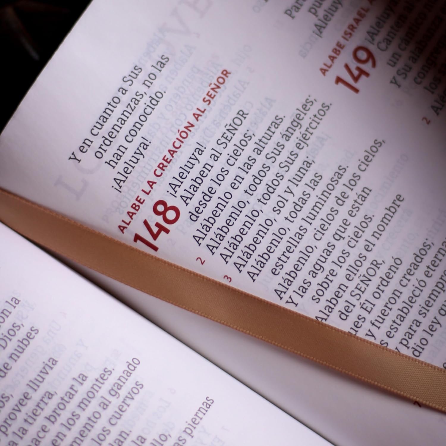 Biblia para la lectura pública NBLA Versificada Letra gigante Piel de cabra Negro: Para quienes se deleitan en compartir Su Palabra - Imagen 8
