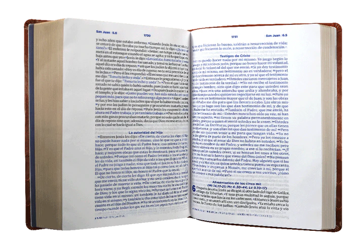 Biblia de Estudio RVC Letra Grande Pastoral Ceremnias y Sermones Imitación Piel Marrón - Imagen 3