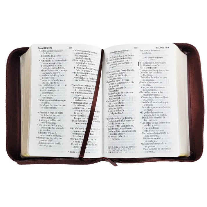 Biblia Reina Valera 1960 Letra grande 11 pts clásico café cierre - Imagen 2
