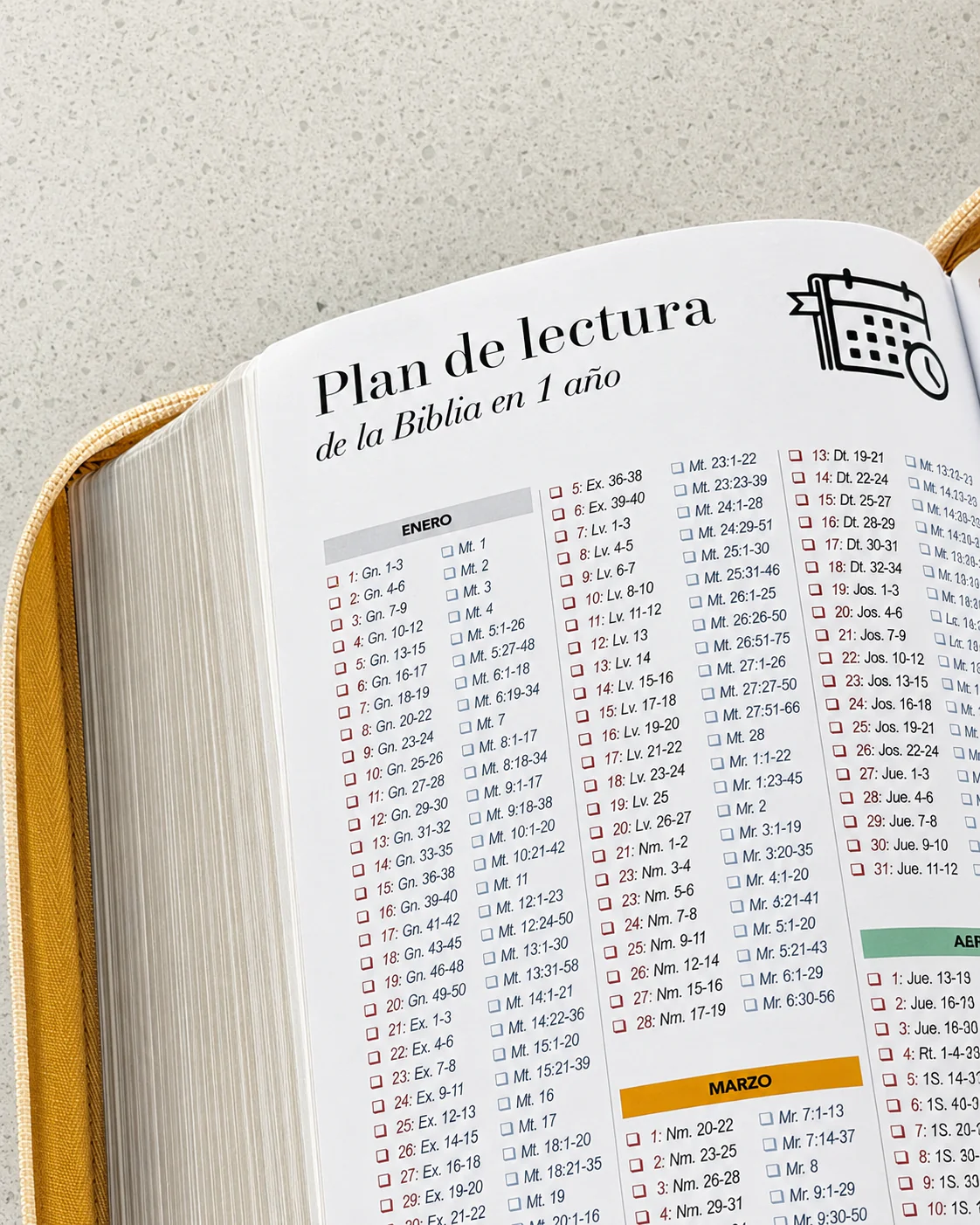 Biblia RVR1960 Letra Grande 11.5 pts – Beige hojas piel cierre - Imagen 8