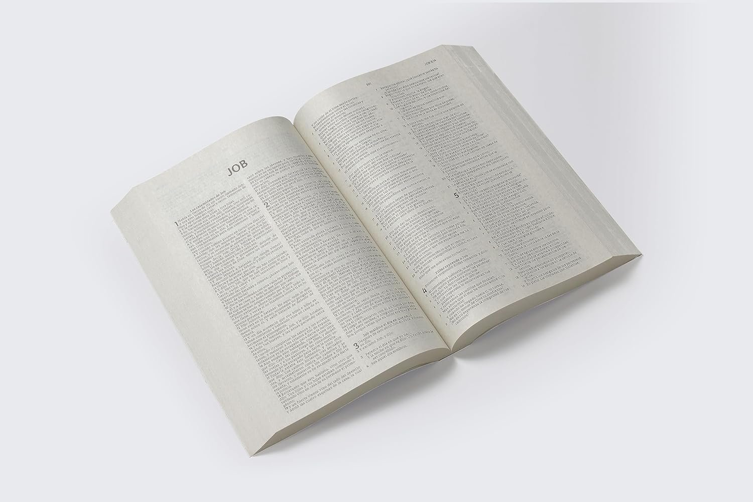 Biblia RVR económica – Reina Valera Revisada - Imagen 4