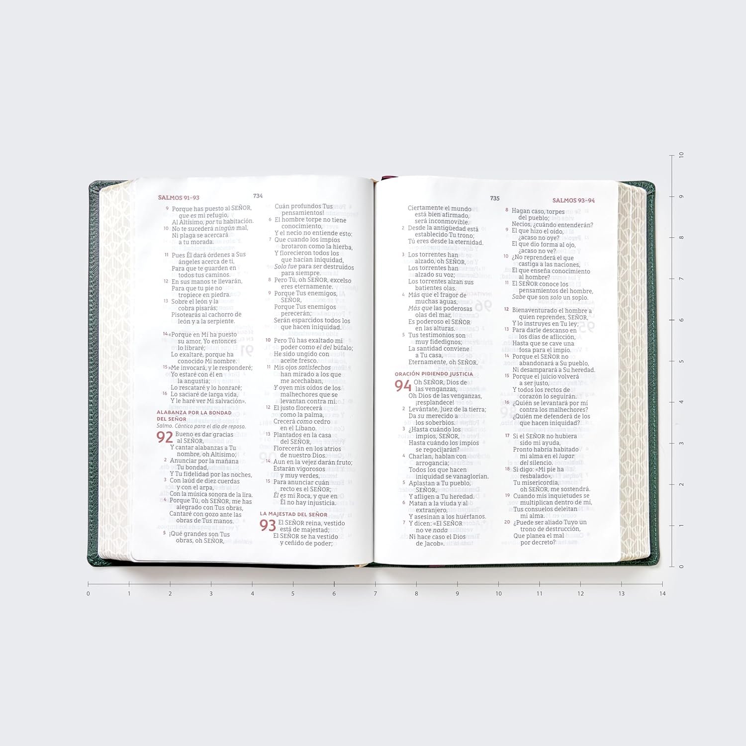 Biblia NBLA Para La Lectura Publica Verde Versificada LG Piel De Cabra - Imagen 3