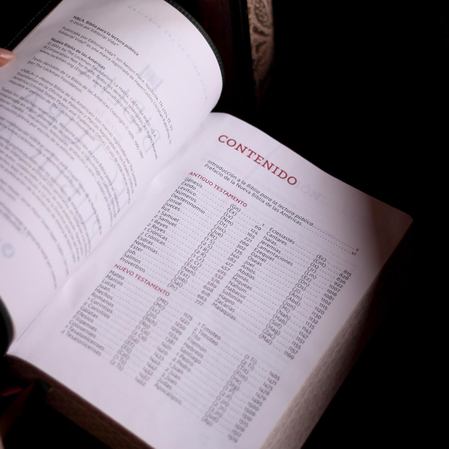 Biblia NBLA Para La Lectura Publica Verde Versificada LG Piel De Cabra - Imagen 5