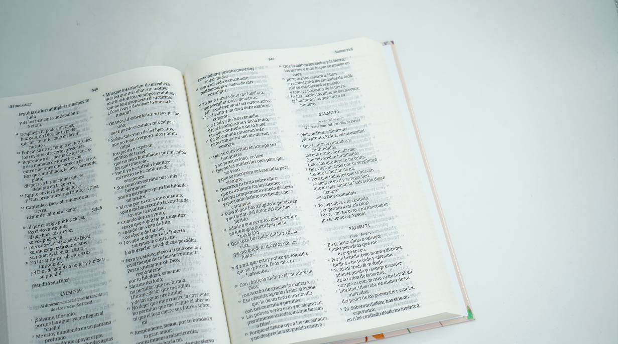 Biblia NVI – Letra Grande Floral - Tapa dura - Imagen 3