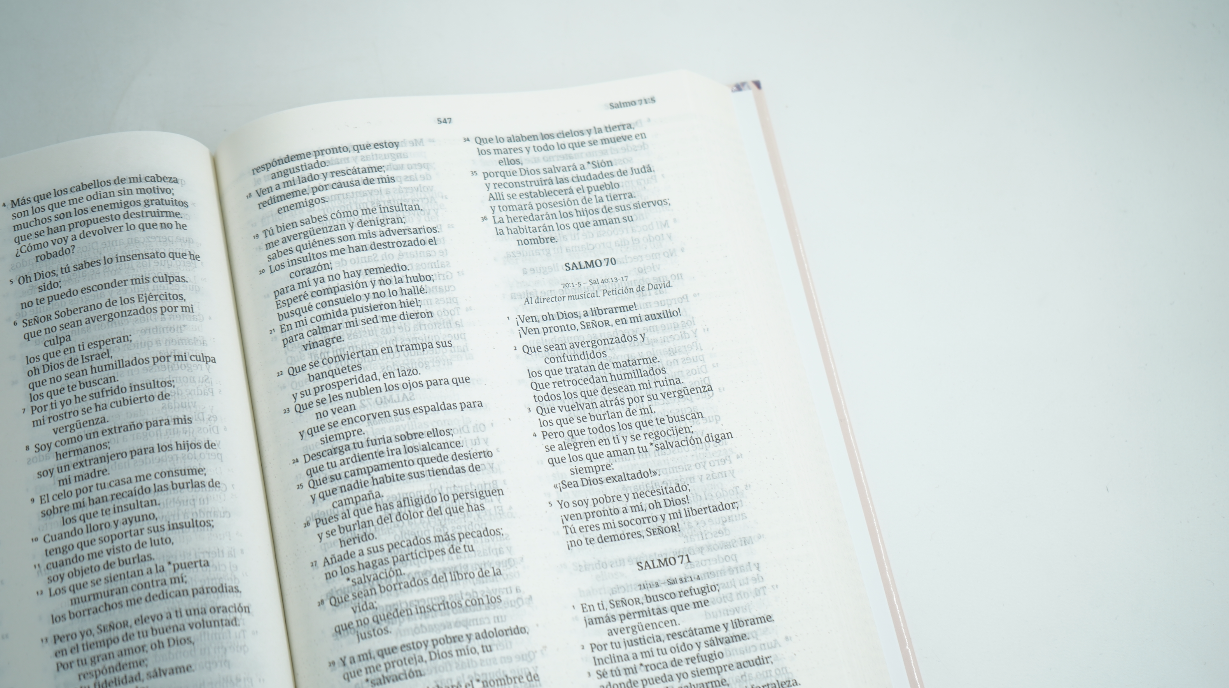 Biblia NVI – Letra Grande Floral - Tapa dura - Imagen 4