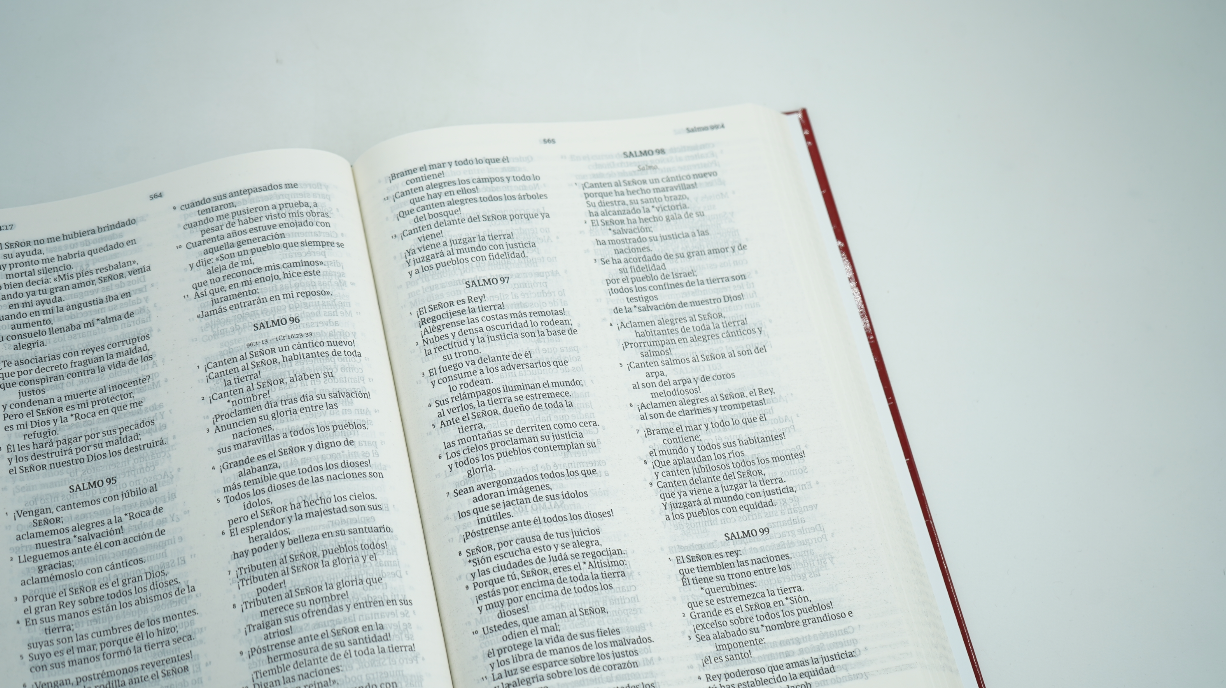 Biblia NVI – Letra Grande - Tapa dura Corona de espinas - Imagen 3