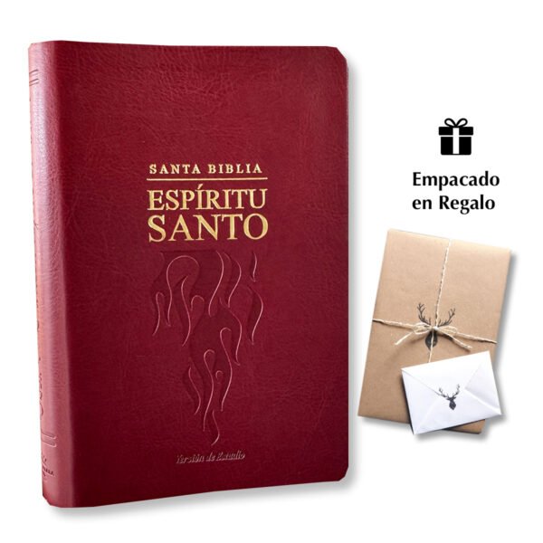 Biblia del Espíritu Santo RVR60 Versión de Estudio Piel Vinotinto