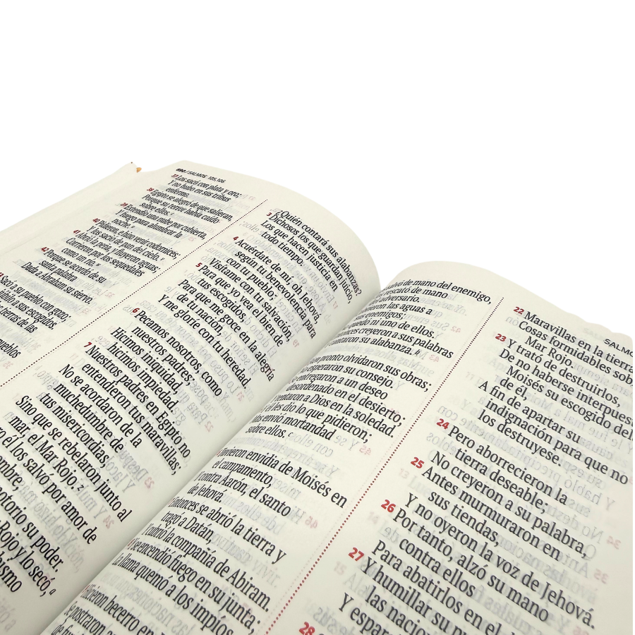 Biblia mediana RVR Letra Grande 12 Flores Lila Tapa Dura - Imagen 3