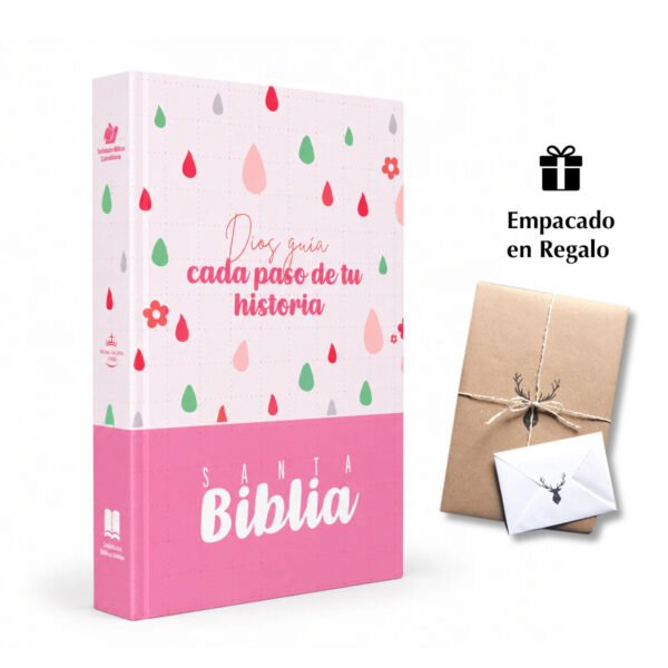 Biblia Letra Grande 12 puntos Rvr 1960 Rosa Tapa Dura
