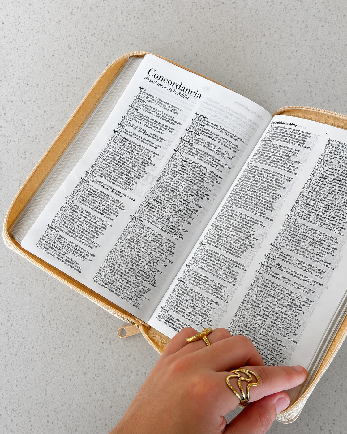 Biblia RVR1960 Letra Grande 11.5 pts – Beige hojas piel cierre - Imagen 10