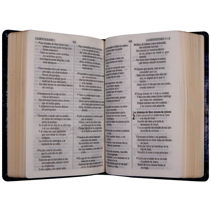 Biblia de Estudio Pastoral Reina Valera 1960 Mediana Letra Mediana Imitación Piel Azul - Imagen 2
